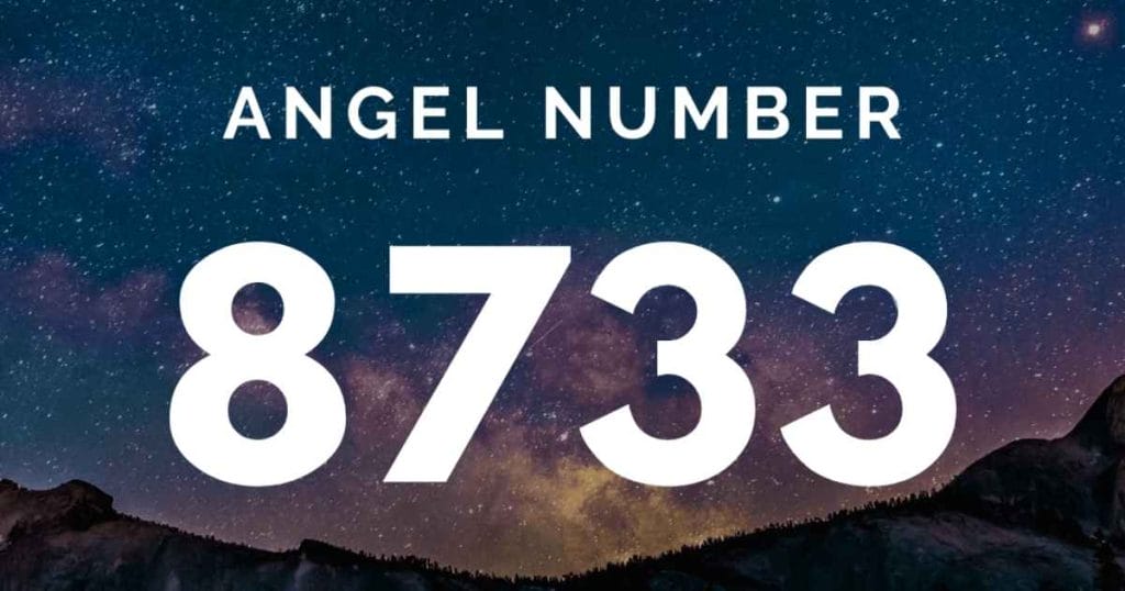 Angel number 8733